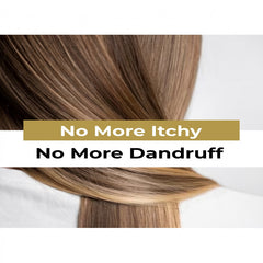 شامبو مرطب فروة الرأس مضاد للقشرة من الزيبا كيرز لعلاج حكة فروة الرأس مع زيت شجرة الشاي وحمض الساليسيليك 1 | يحارب القشرة الدهنية والجافة | شامبو لمنع تساقط الشعر للنساء والرجال | 500 مل